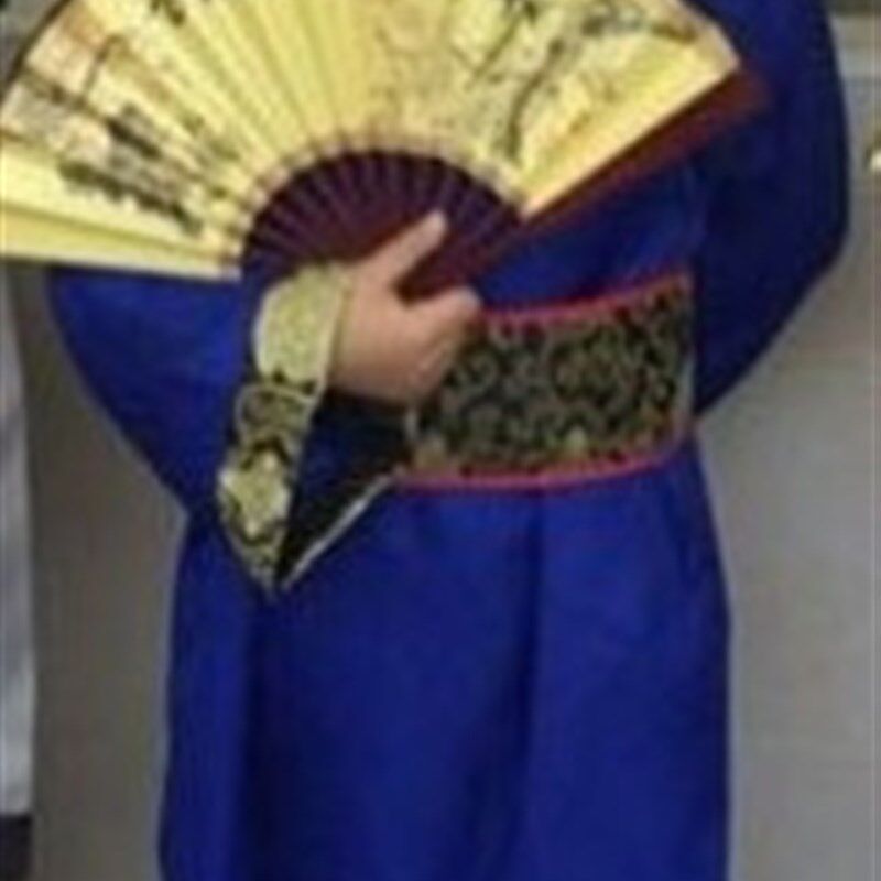 幼儿童古装汉服男童唐朝唐代古代县令官员大臣王维杜甫表演出服装