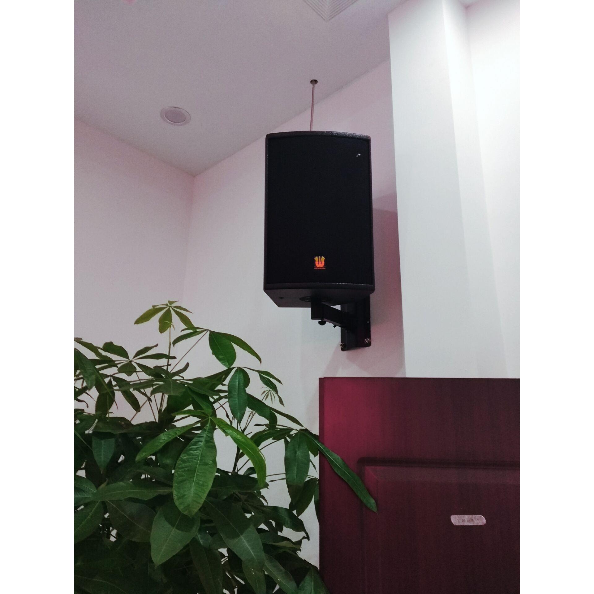 深会圳613厂家销公共直响广播系统多功能会议室音议音箱