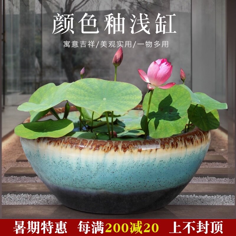 景德镇陶瓷鱼缸大号碗睡莲缸室外庭院荷花缸别墅瓷器装饰摆件水缸