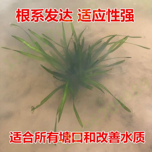 镀锌板帆布鱼池果园蓄水池全套加厚高密度养殖消防大型刀刮布水箱