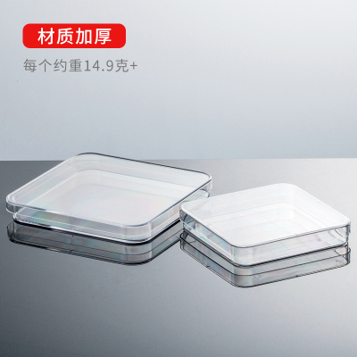 13*13cm方形塑料培养皿10x10cm 一次性细胞 130X130mm 100X100mm