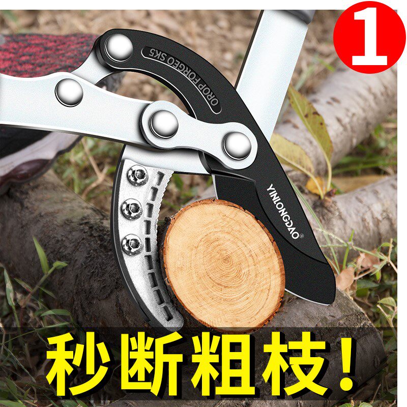 剪树枝专用剪刀加长园艺大剪刀剪枝果树修枝修剪园林枝剪工具神器图片