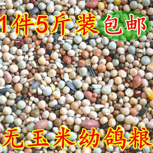 特A级鸽粮 无玉米幼鸽饲料 鸟食信鸽观赏鸽肉鸽粮 包邮5斤