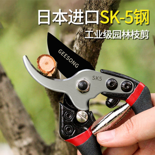 巨正升 省力果树修枝剪刀树枝粗枝剪SK5专业采摘用园林园艺剪修花