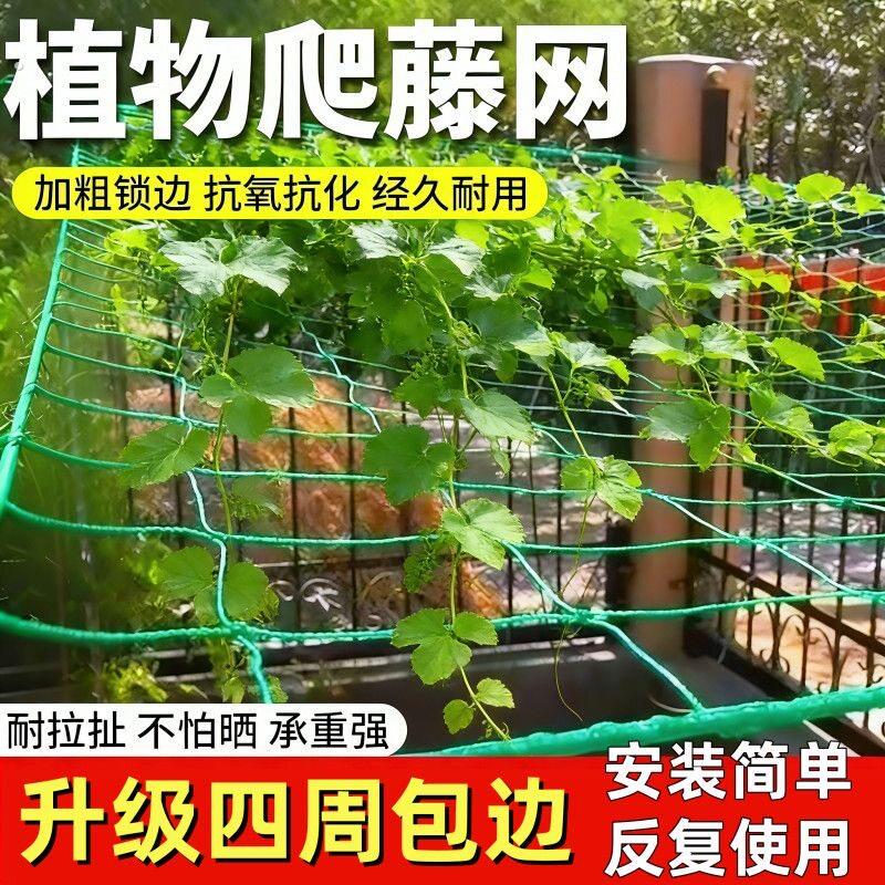 豇豆吊瓜丝瓜爬藤网苦瓜黄瓜豆角百香果专用网植物种植网攀爬农用