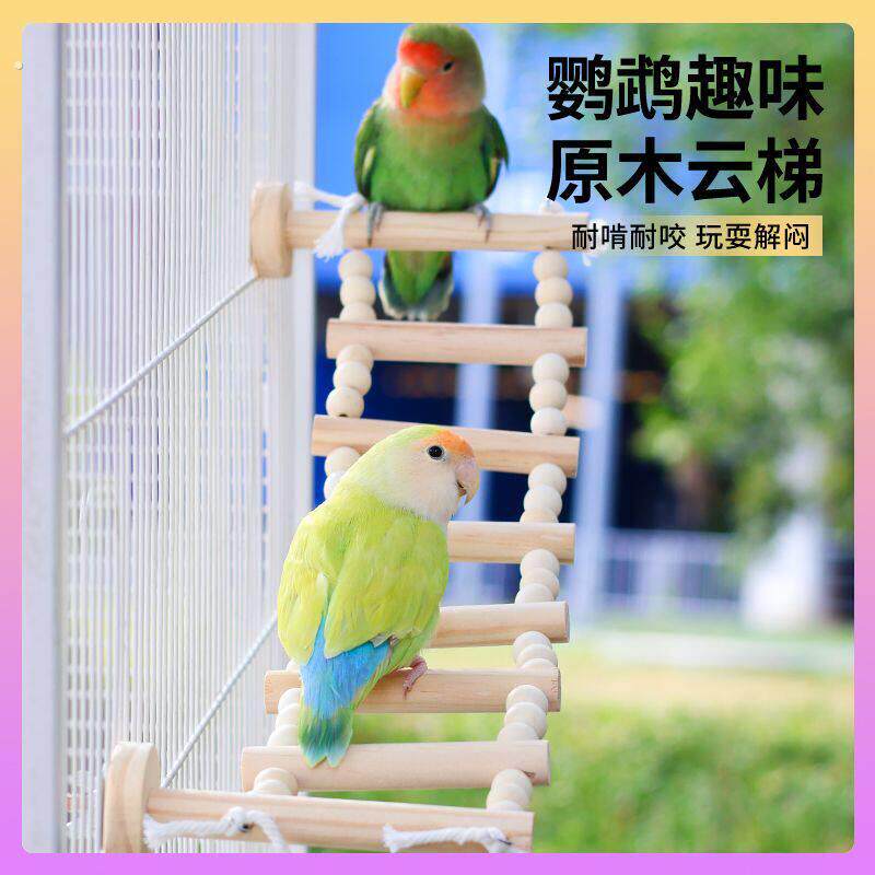 鹦鹉原木云梯攀爬运动梯子小太阳牡丹实木云梯吊桥锻炼梯子
