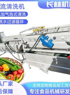 全自动涡流清洗机旋流式蔬菜清洗涡流式碎菜清洗机