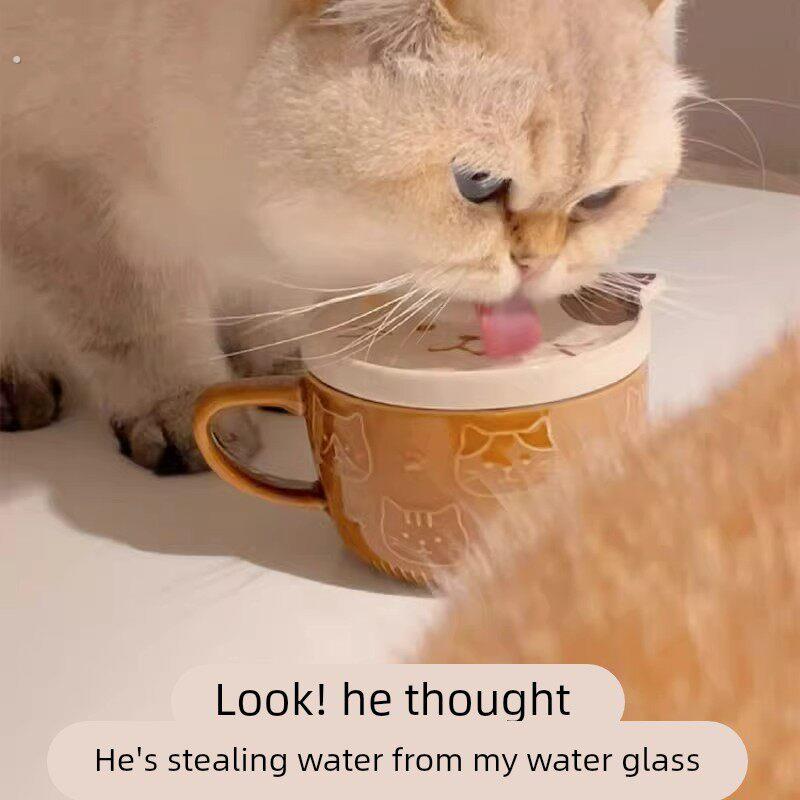 猫碗陶瓷猫咪大口径喝水水杯马克杯保护颈椎防黑下巴猫咪骗水神器