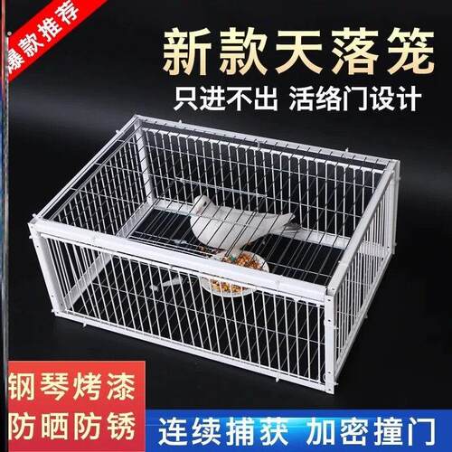 捕神器加密鸽子笼捕笼祇进不出天落笼撞门笼全自动户外收