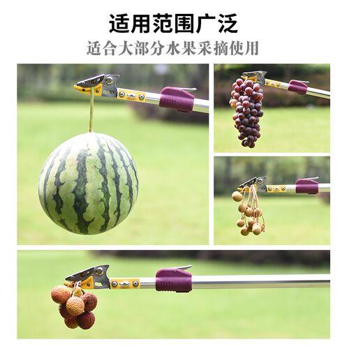 摘果器龙眼荔枝水果树枝剪刀伸缩高空剪加长摘果神器高枝剪摘果剪