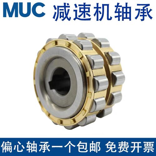 摆线针轮减速机偏心套轴承RN204 205 206 307 309 312 M 带偏心轴