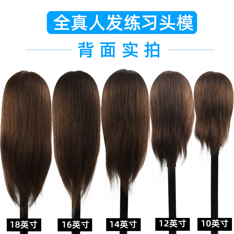 全真人发教习头美发头模练习可吹剪烫染漂卷模特头公仔头假人头模