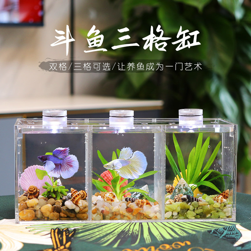 亚克力鱼缸长方形盖板隔离板小型生态斗鱼双格缸专用超透迷你带灯