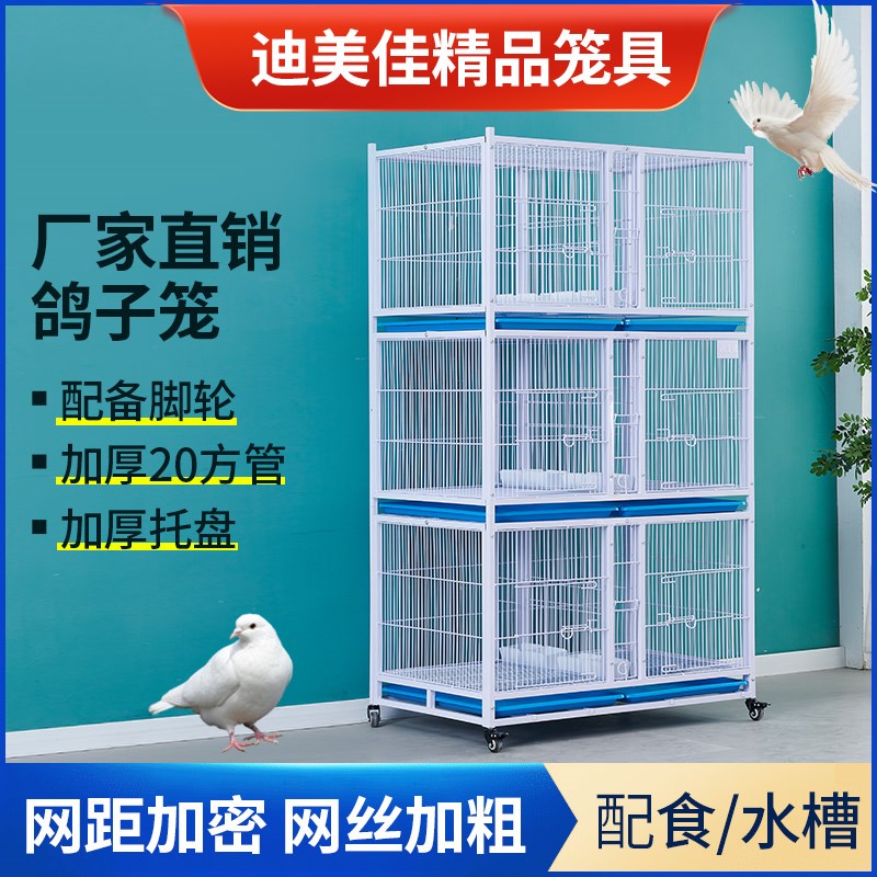 公棚鸽舍加密鸽子笼配对笼隔离笼防老鼠黄鼠狼鸽笼带食槽鸽舍鸽笼