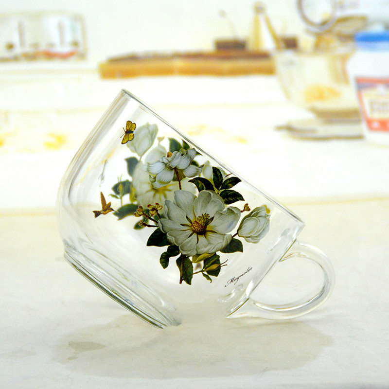 韩国大容量早餐杯燕麦杯牛奶杯耐热玻璃杯子大肚奶茶杯家用水杯