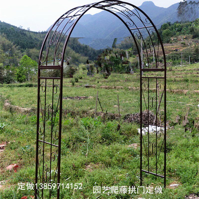 欧式铁艺拱门花架 210*40*240白色镀锌管 庭院葡萄架 户外植物支