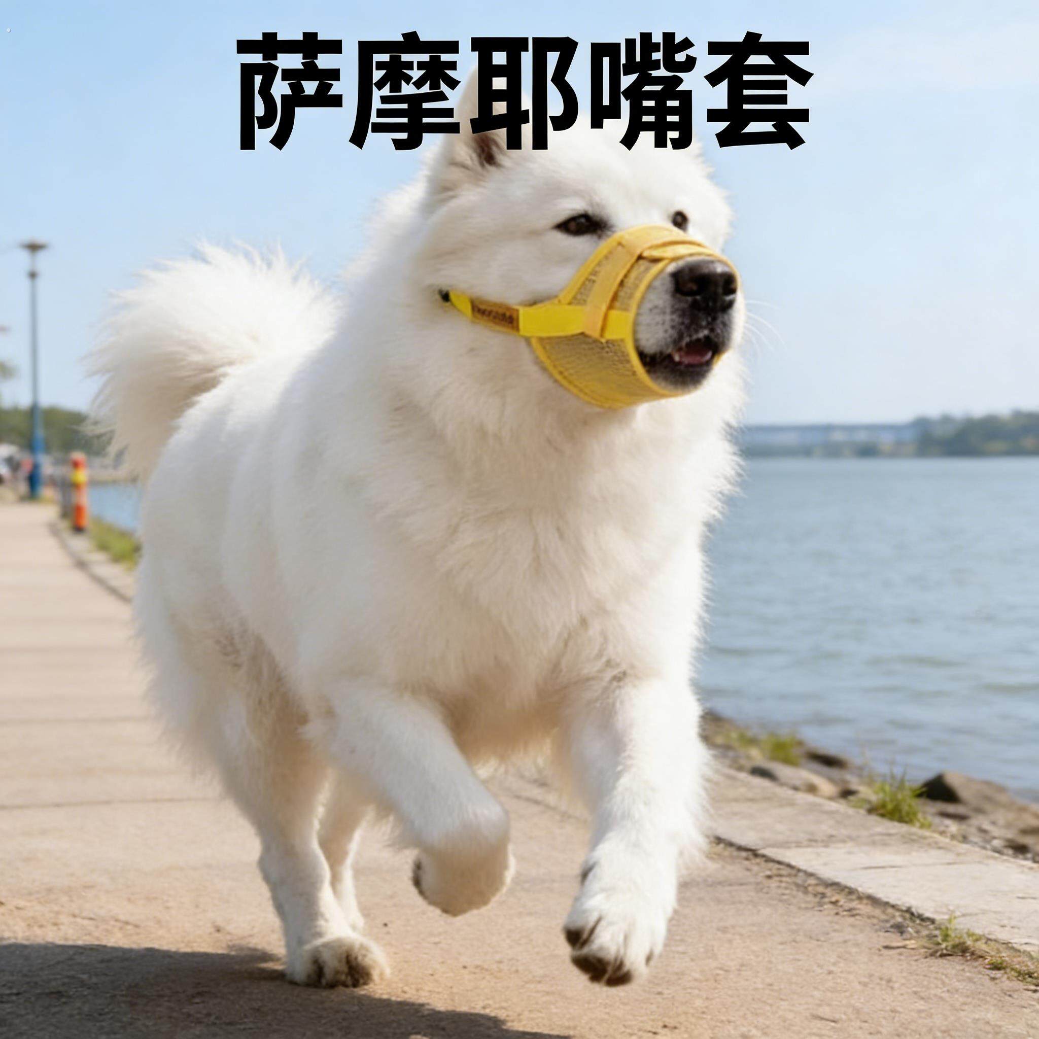 萨摩耶嘴套狗狗专用网纱透气防叫防乱吃扒不掉防咬人中大型犬宠物
