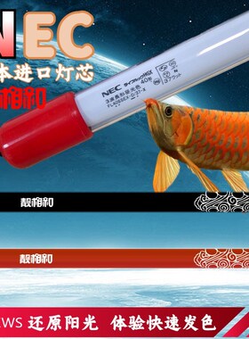 靓相和NEC龙鱼专用鱼缸灯管金红龙增艳发色观赏烤色6700K防潜水灯