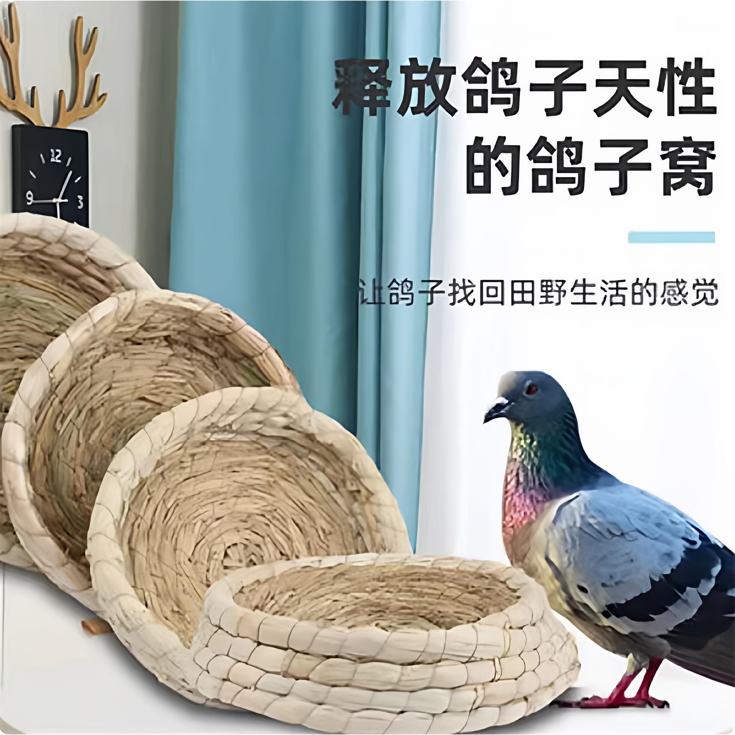 鸽子窝鸟窝鸽子窝信鸽窝草窝玉米皮防侧翻繁殖窝蛋盆家鸽鸽舍用品