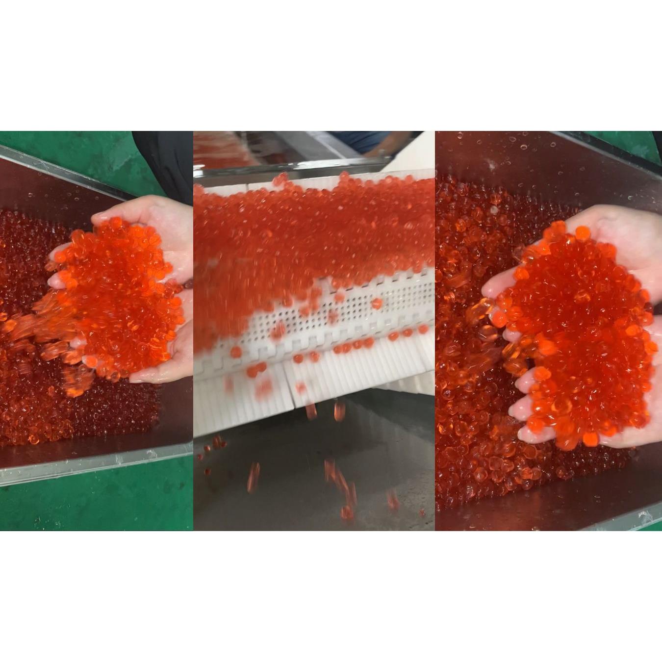供销魔芋珍珠设备Q弹红糖珍珠成型设备上海制造