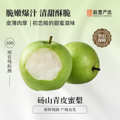 【程意严选】砀山青皮梨子翠冠梨翠梨脆甜当季新鲜水果整箱包邮