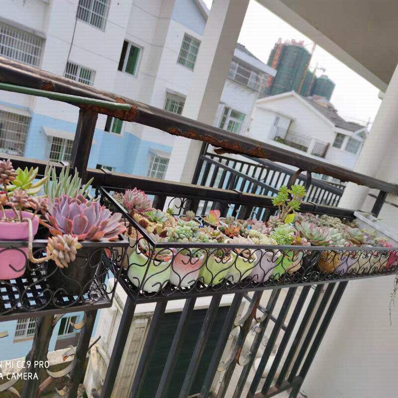 加宽规格阳台栏杆花架悬挂式铁艺护栏花盆架壁挂多肉绿萝花架子