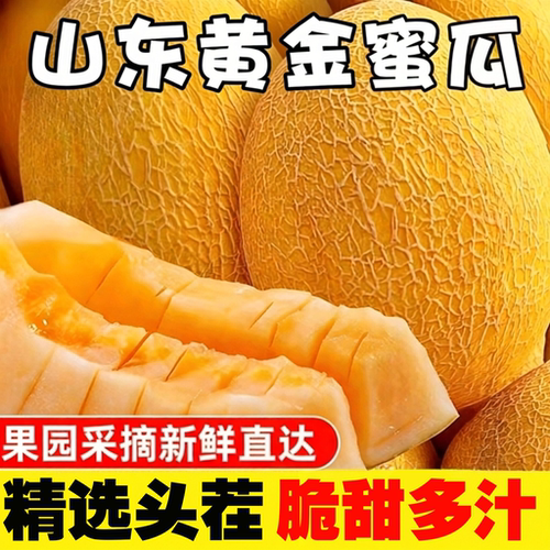 正宗黄金蜜瓜哈密瓜新鲜水果当季脆甜香瓜应季水果春季甜瓜