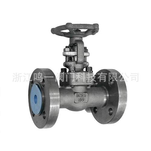 锻钢德整标国标体锻造高温5铬MYV/鸣一钼钢1Cr5M4oF连体一体式法