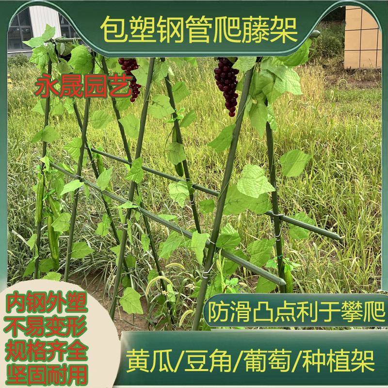 爬藤管包塑钢管爬藤支架西红柿黄瓜百香果植物支架爬藤架