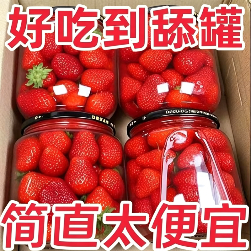 新鲜草莓罐头510gDIY蛋糕商用