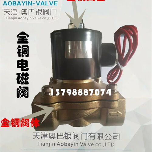 全铜电磁阀水用电磁阀蒸汽电磁阀高温电磁阀DN15-DN50 4分至2寸