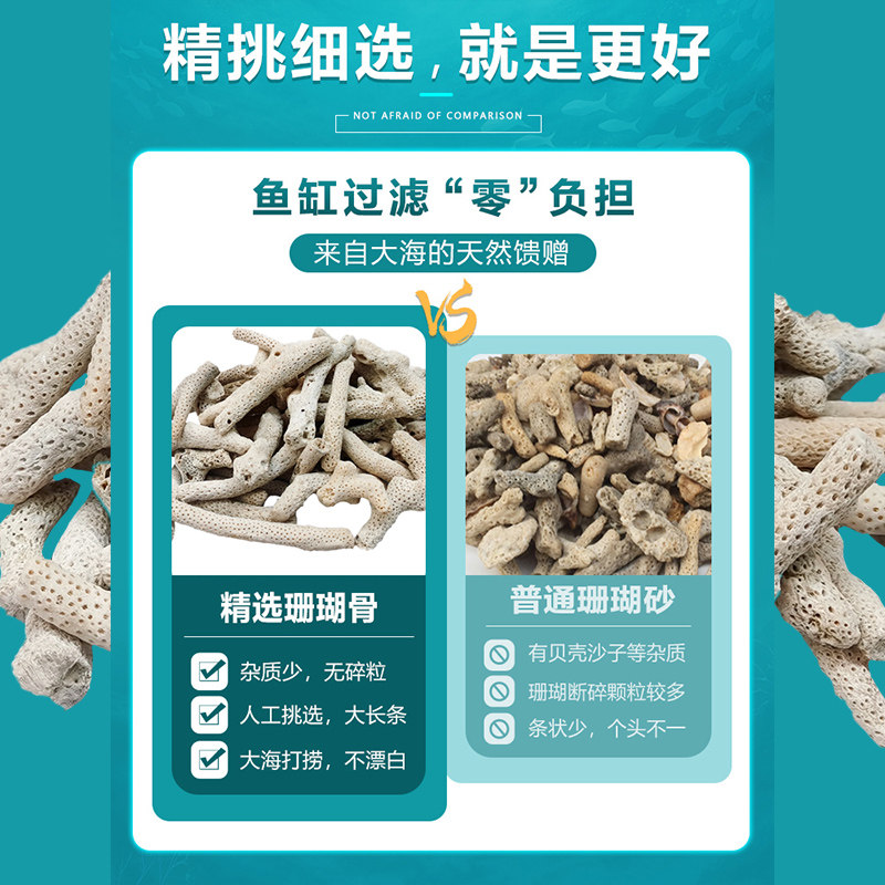 天然珊瑚骨滤材鱼缸过滤材料培菌净水鱼池滤材水族箱造景砂珊瑚石图片