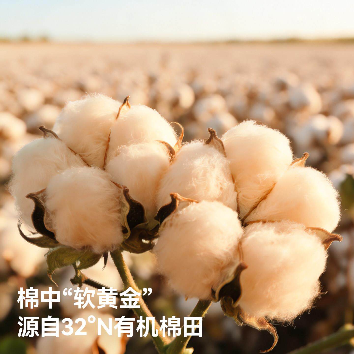 贝肽斯婴彩棉隔尿垫妈儿防水大尺寸床儿单可水洗姨垫生1L202理童