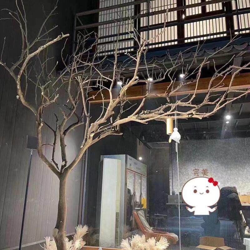 干干树枝天然造型干干燥树枝景枯造枝许愿树枯树枯枝木室内景观树