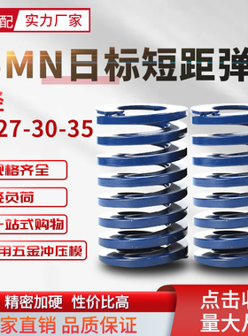 日标短距蓝色弹簧SSWL模具配件螺旋压缩蓝色扁线回位弹簧25-30-35
