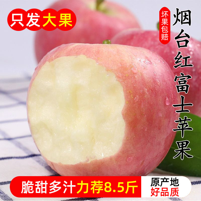 烟台红富士苹果9应季斤新鲜水果整箱山东栖霞脆甜冰糖心丑萍果 红苹实拍商品图