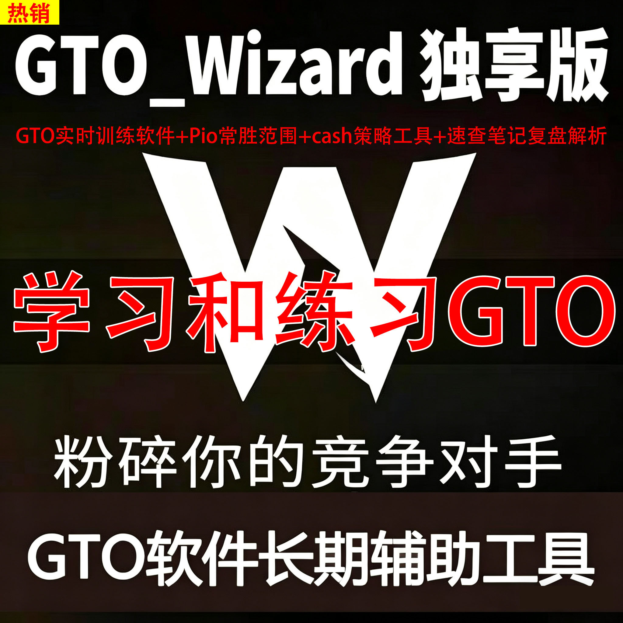 GTO Wizard高级版cash/mtt 独享版Piosolver汉化版德扑训练软件