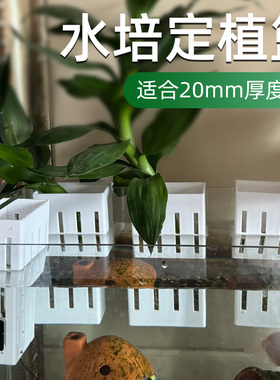 水培固定篮鱼缸水草定植篮挂壁式种植杯龟缸植物造景装饰固定神器