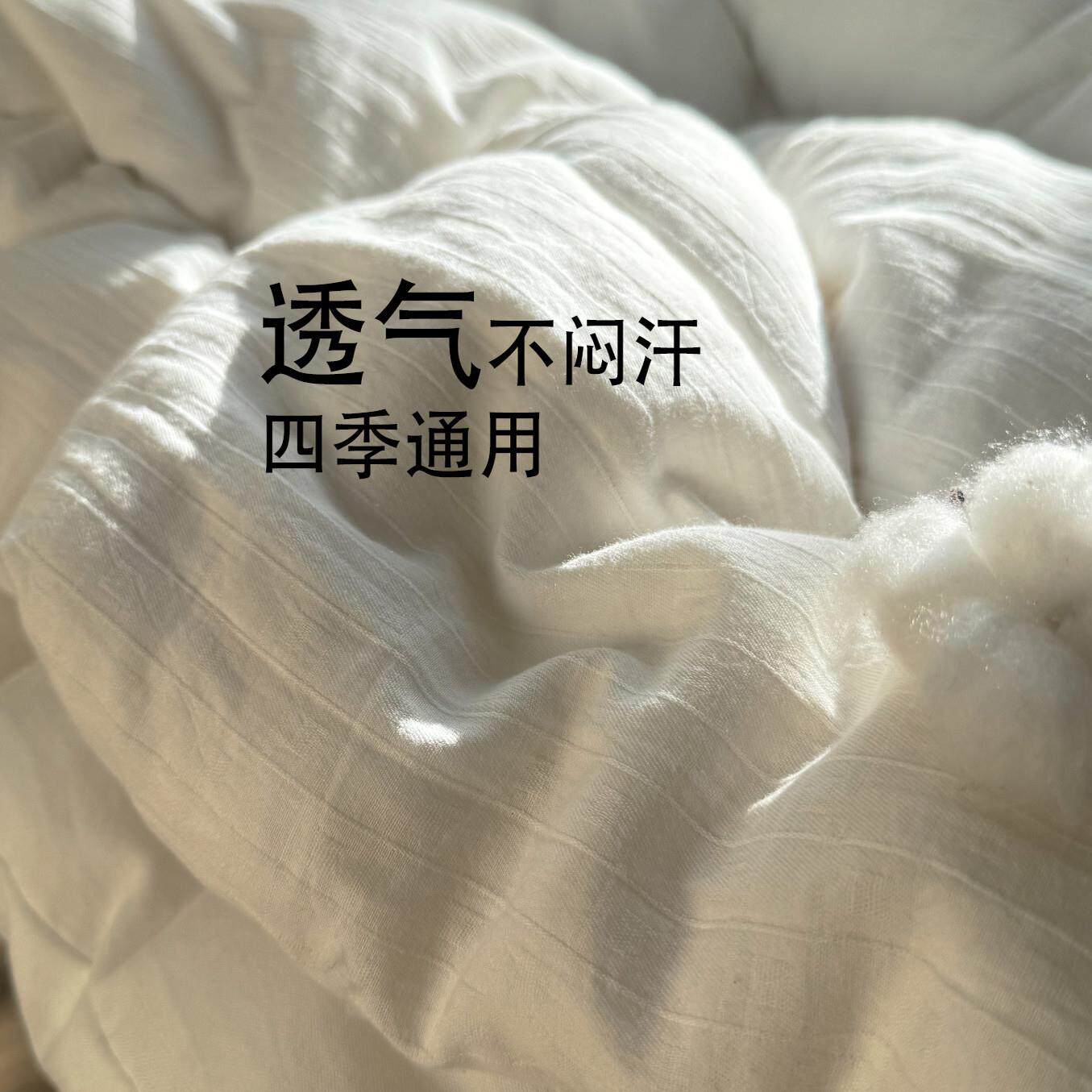 儿全童被棉子被冬被加厚纯100%棉儿童芯幼儿园新生儿被YDJ褥棉花