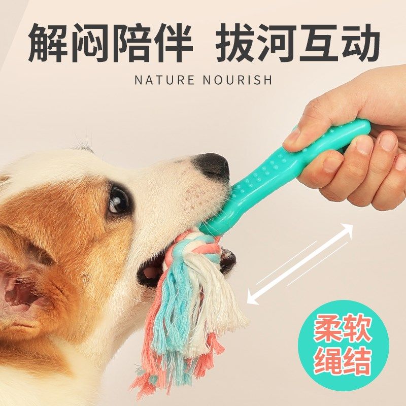 狗狗磨牙玩具幼犬耐咬牙刷两个月拔河绳结小型犬奶狗泰迪宠物用品 - 实物图