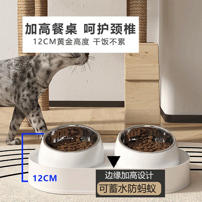 宠物猫碗不锈钢喂食碗猫咪狗用食盆加高猫粮碗喂水双碗斜口护颈椎