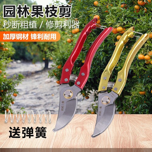 多功能园林果植剪不锈钢果树修枝剪公园果园家用剪枝采摘水果剪刀
