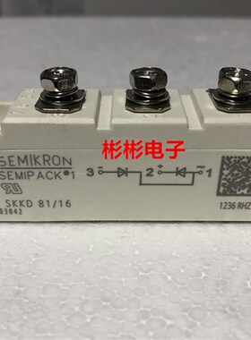 SKKD46/16 SKKD81/12/14/16E 全新西门康 整流二极管模块 包用