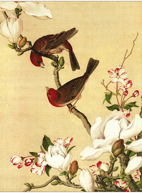 郎世宁仙萼长春图花鸟高清艺术微喷画心宫廷国画客厅书房酒店挂画
