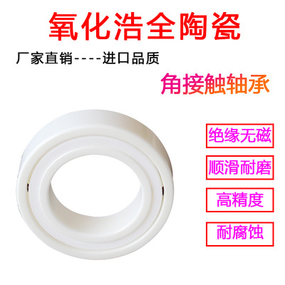 NSK进口氧化锆陶瓷角接触轴承 7205 7206 7207 7208 7209 7210 CE
