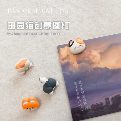 毛毡墙贴图钉照片墙装饰毛毡板钉子小装饰毛毡板配件彩色图钉可爱