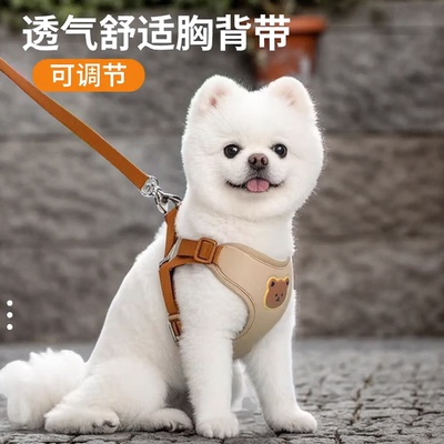 中小型犬狗狗胸背牵引绳不勒脖颈