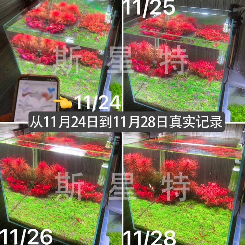 斯星特全光谱鱼缸灯 小型鱼缸专用LED灯 水草发色增艳照明图片