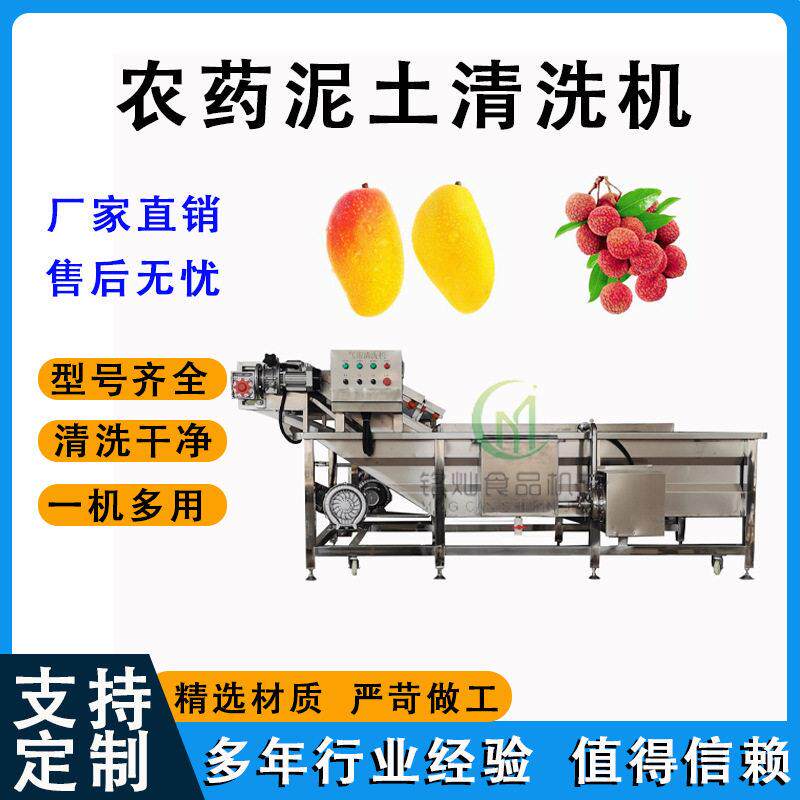 芒果全自动气泡清洗机荔枝农残留清洗设备预制菜净菜商用清洗