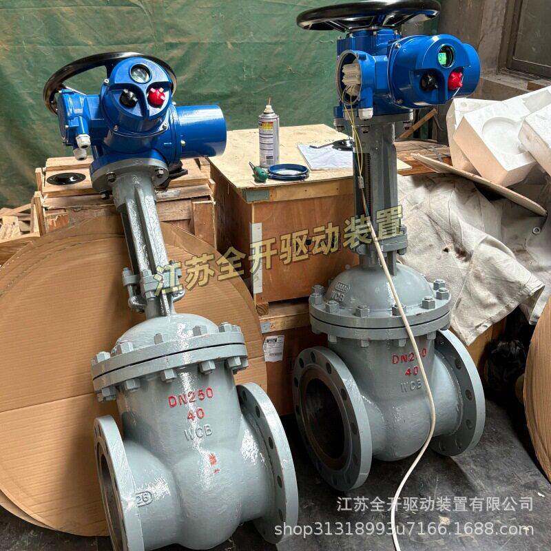 智能型硬阀密封电动闸Z91Y/H-25C-DN2弗罗帕斯00 DCSA系统控制4